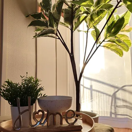 In Fuer 4 Apartament *